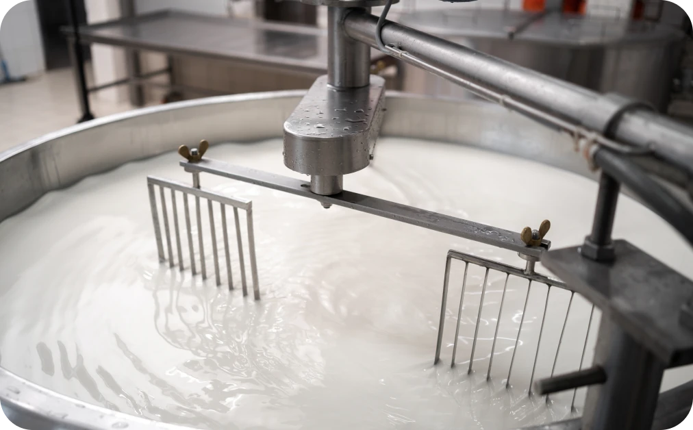 Industrial milk processing in a factory