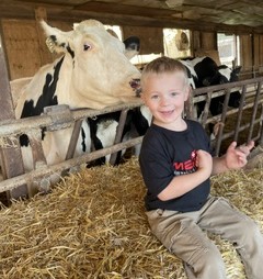 Smiling young boy sitting in barn with cow