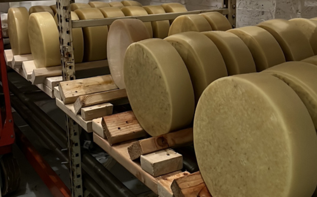 Cheese wheels aging on wooden racks